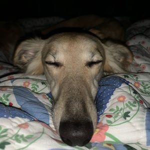 Meet your Posher, Mackenzie